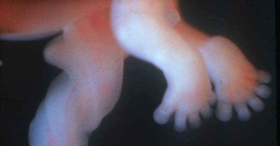 01_19269.jpg