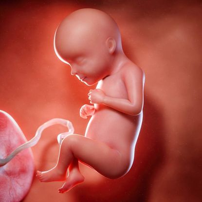 29 tydzień ciąży - jak wygląda dziecko