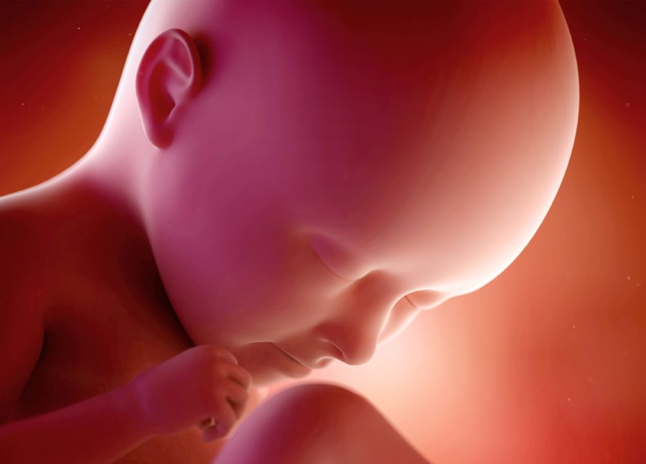 35 Tydzien Ciazy Kalendarz Ciazy Rozwoj Dziecka Zmiany U Mamy Mamotoja Pl