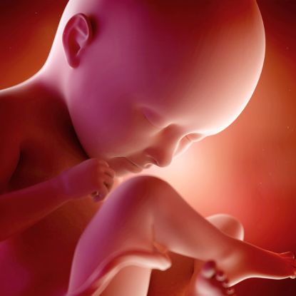 35 tydzień ciąży - jak wygląda dziecko