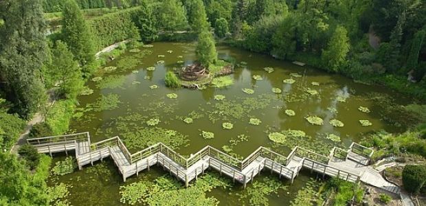 Arboretum w Bolestraszycach