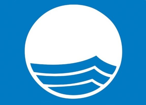 błękitna flaga logo