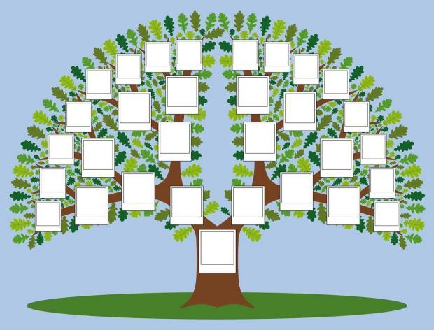 Jak Zrobic Drzewo Genealogiczne Podpowiadamy Wzor Mamotoja Pl