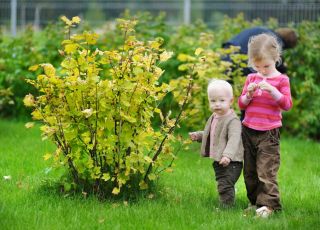 Dzieci w ogrodzie