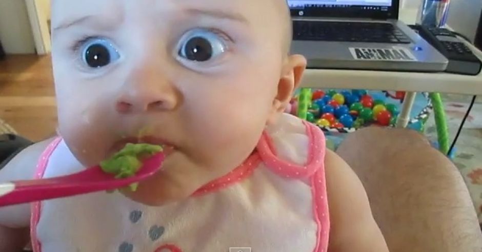 dziecko próbuje avocado