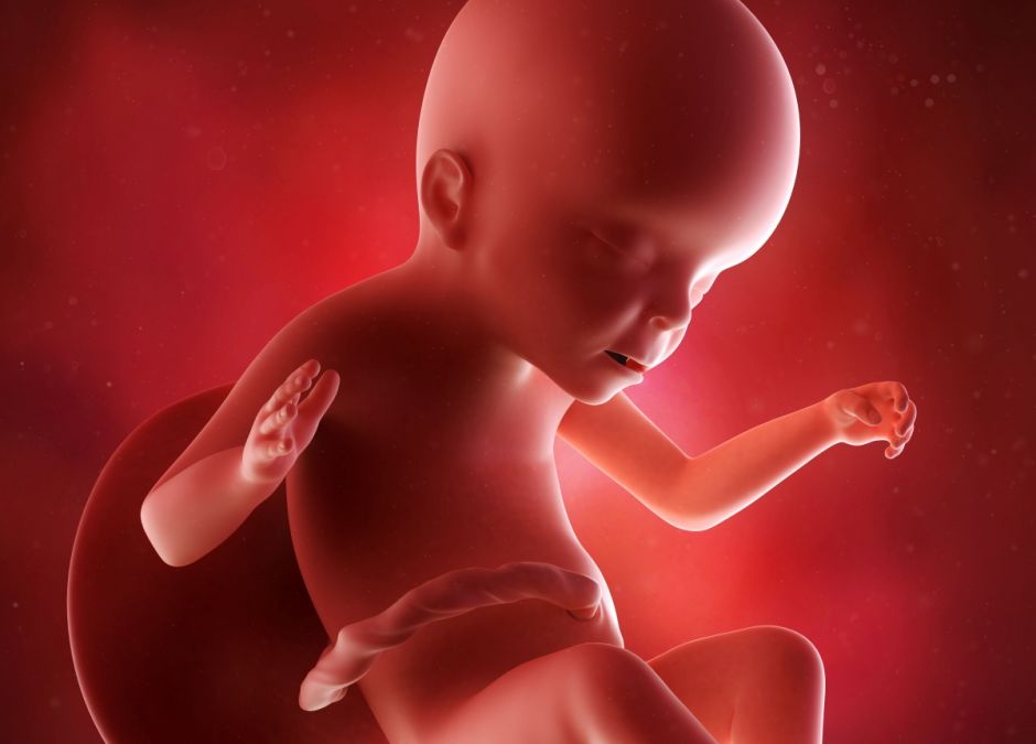 23 tydzień ciąży – kalendarz ciąży – rozwój dziecka, zmiany u mamy