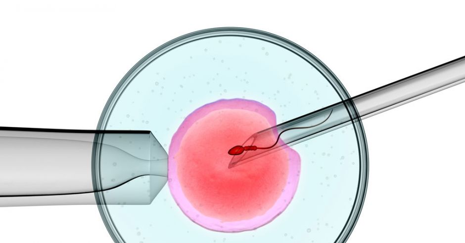 in vitro