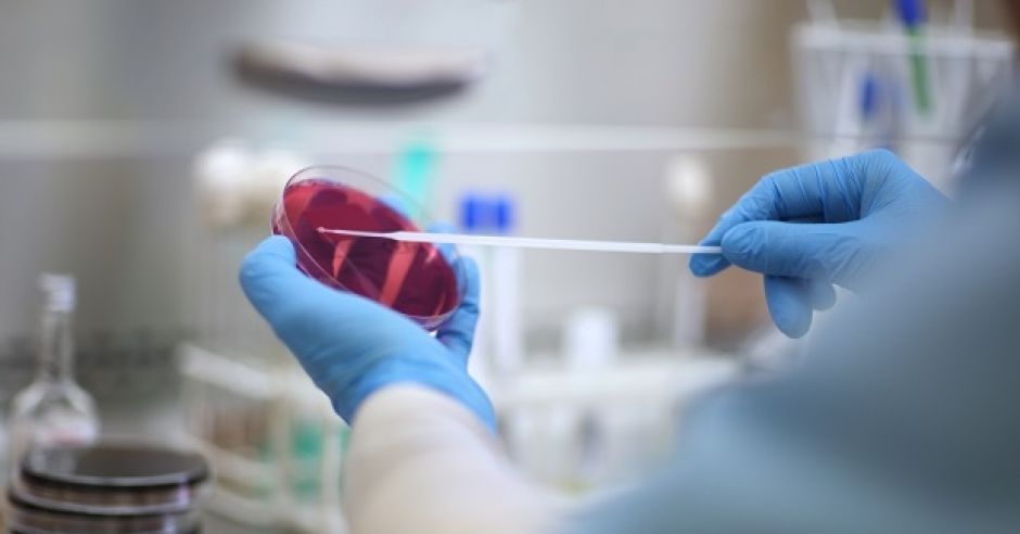 in vitro