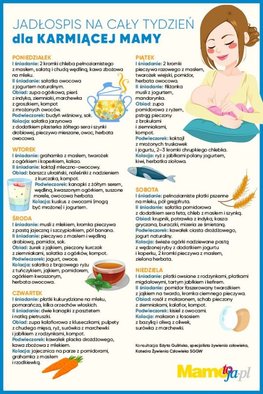 Tygodniowy jadłospis dla karmiącej mamy co dziś na obiad? Mamotoja.pl