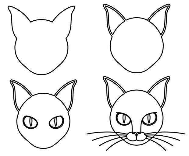 jak narysować głowę kota