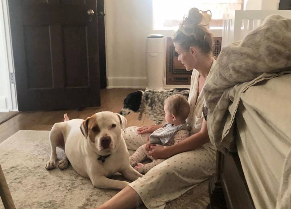 Joanna Krupa z córeczką i psem