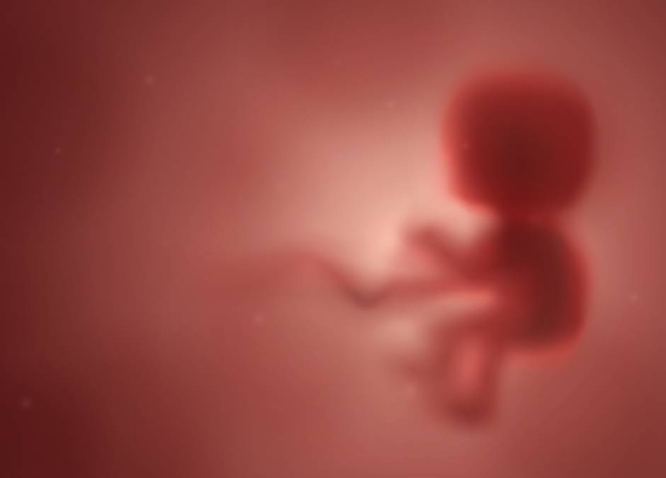 Kaja Godek walczy o dzieci z gwałtu