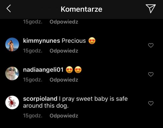 Komentujący pod zdjęciem Joanny Krupy/instagram.com/joannakrupa