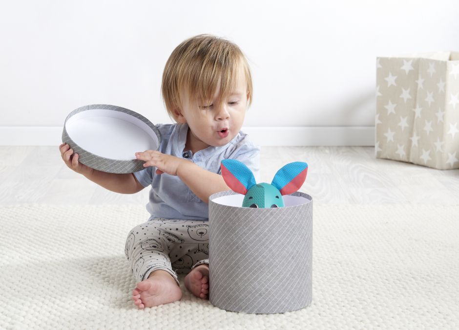 królik wonder buddies