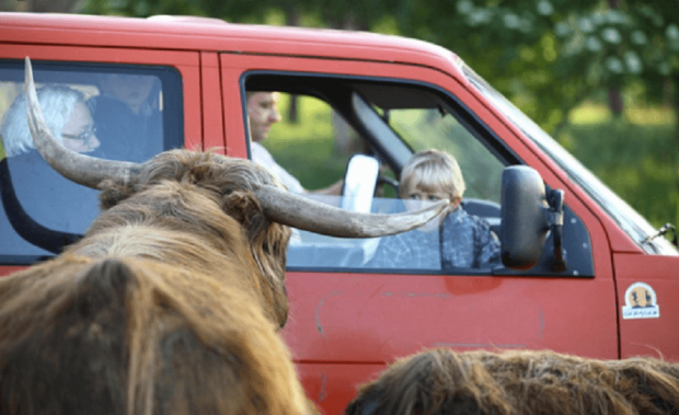 Mazury z dziećmi