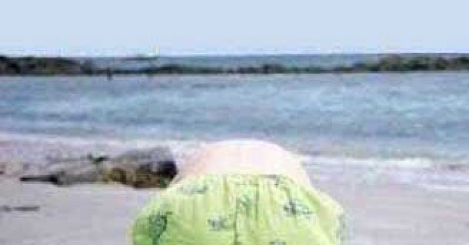 śmieszne zdjęcie, zabawne zdjęcie, plaża, wakacje