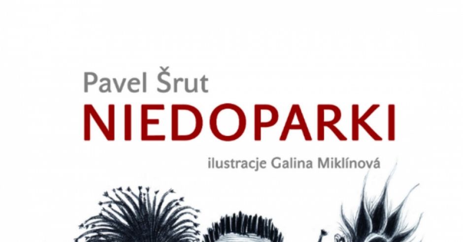 niedoparki, okładka, plakat