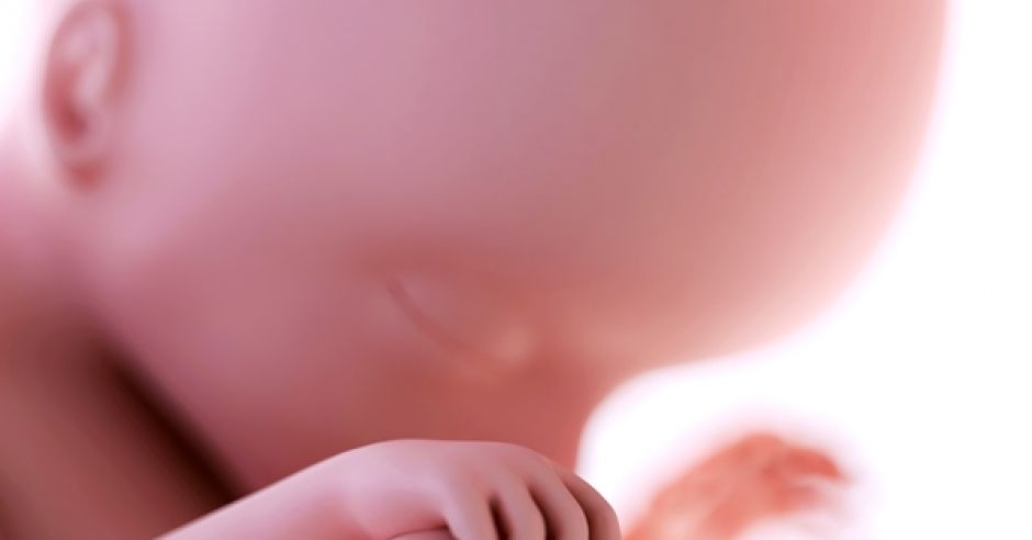 Odżywianie dziecka w łonie mamy