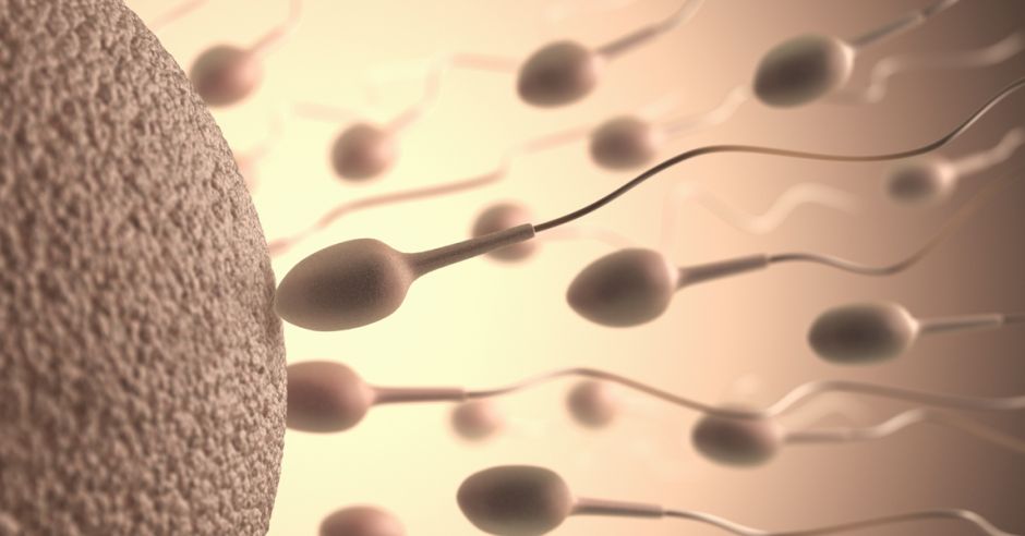 oligospermia przyczyną męskiej niepłodności, mała ilość plemników