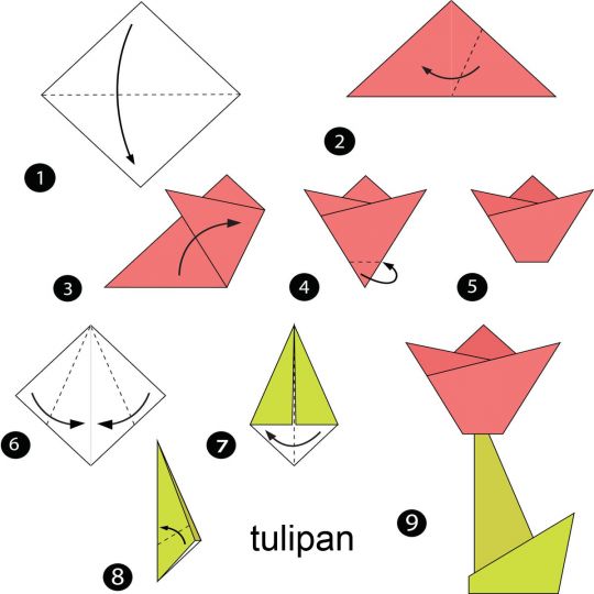 origami dla dzieci tulipan