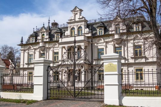 Pałac Buchholtza, Supraśl