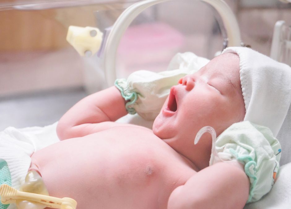 Pampers Wcześniak