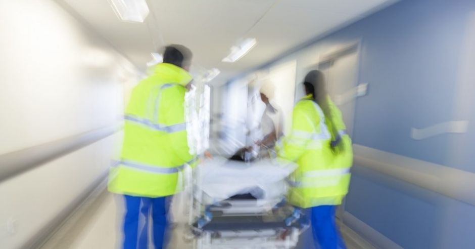 Pies brutalnie pogryzł 5-letnią dziewczynkę