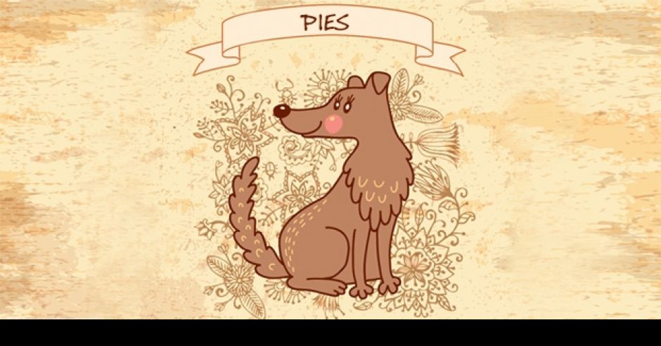 pies, horoskop chiński, horoskop dla dziecka