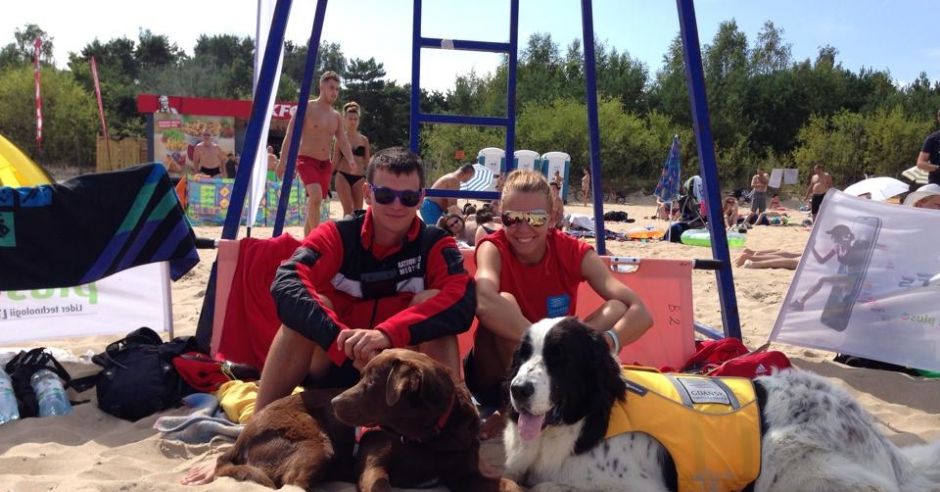 psy na plaży