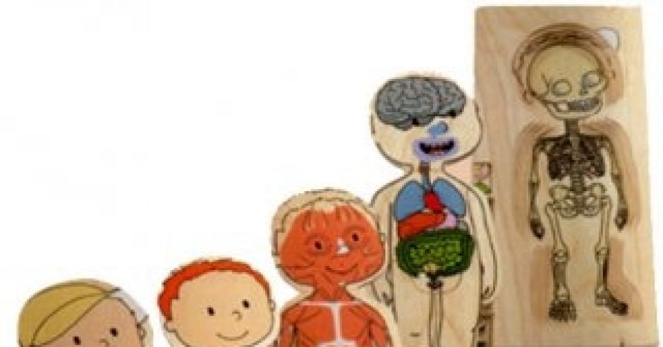 puzzle, ciało, chłopiec, zabawka