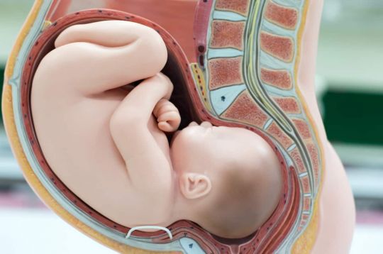 ruchy dziecka przed porodem ile miejsca ma dziecko w brzuchu