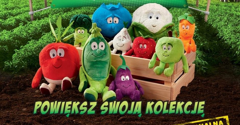 Świeżaki z Biedronki