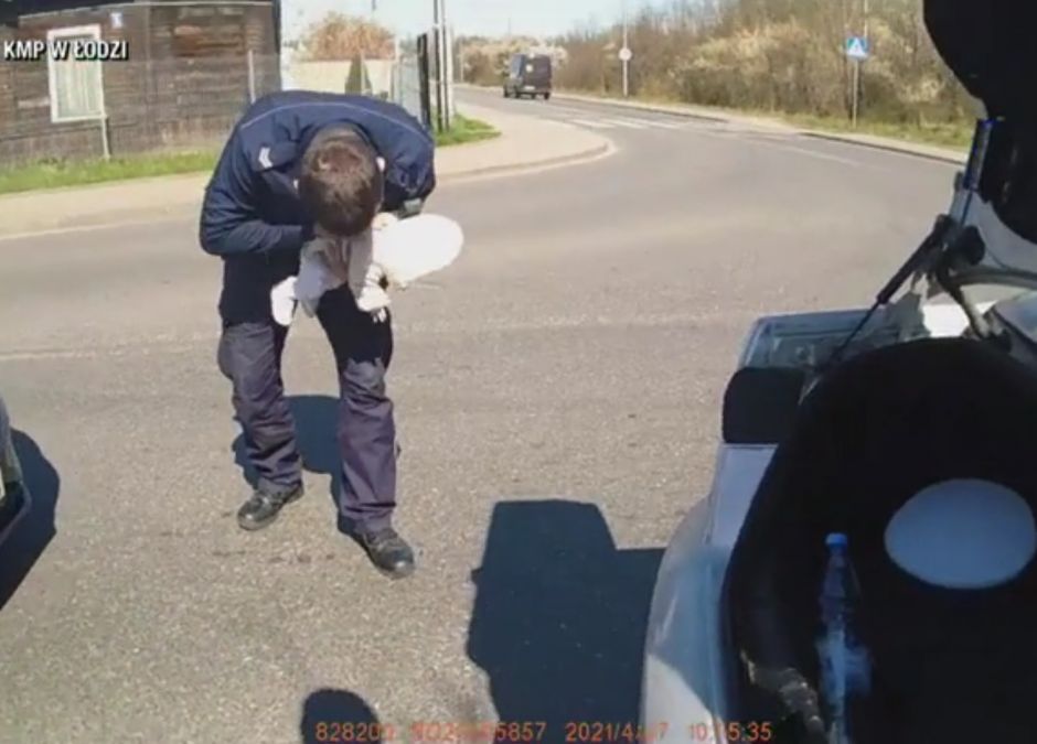 Szybka akcja policjantów. Uratowali duszące się niemowlę