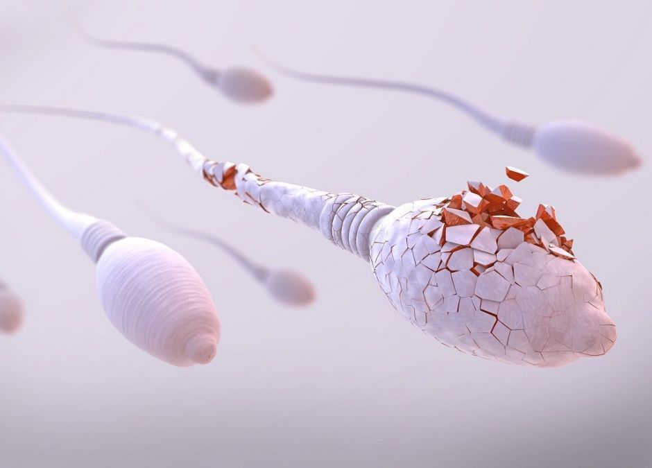 teratozoospermia