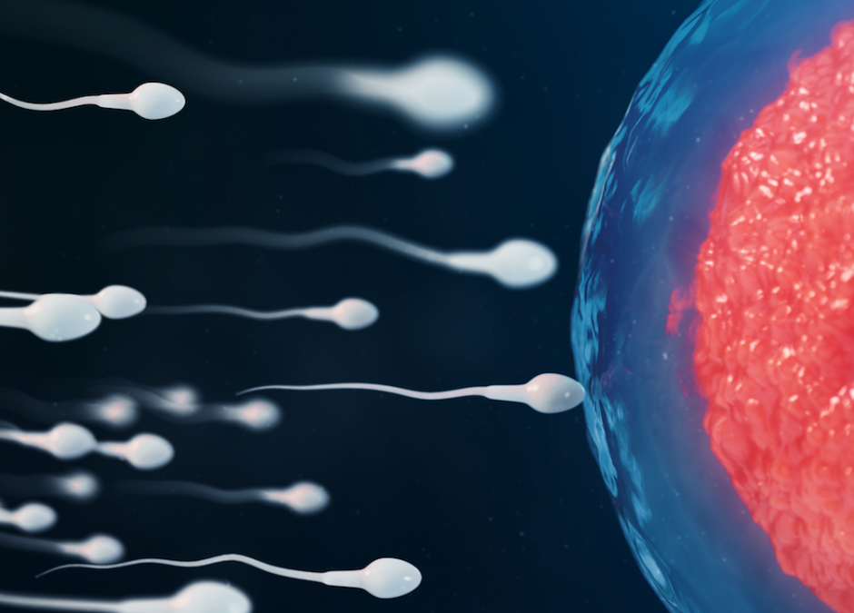 teratozoospermia