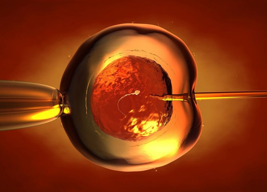 trzososobowe dzieckoz in vitro