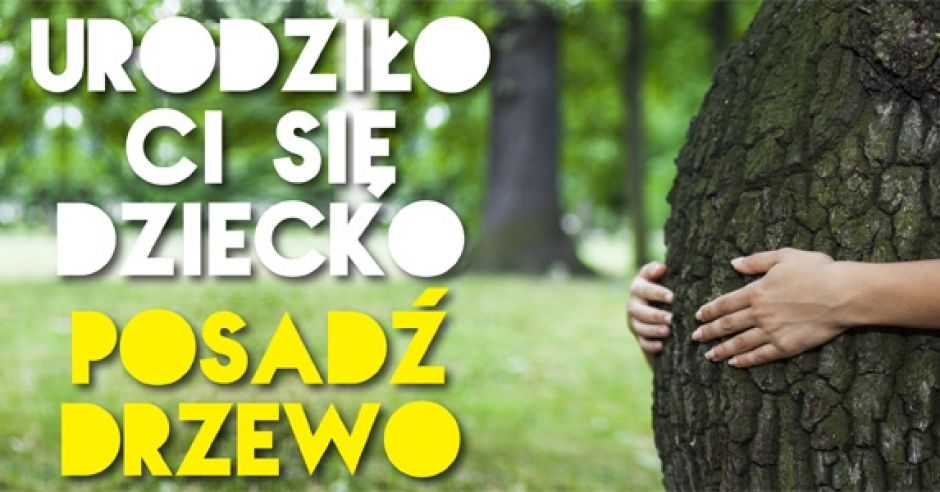 urodziło ci się dziecko - posadź drzewo, mały przyrodnik, wychowaj miłośnika przyrody, drzewa, sadzenie drzew