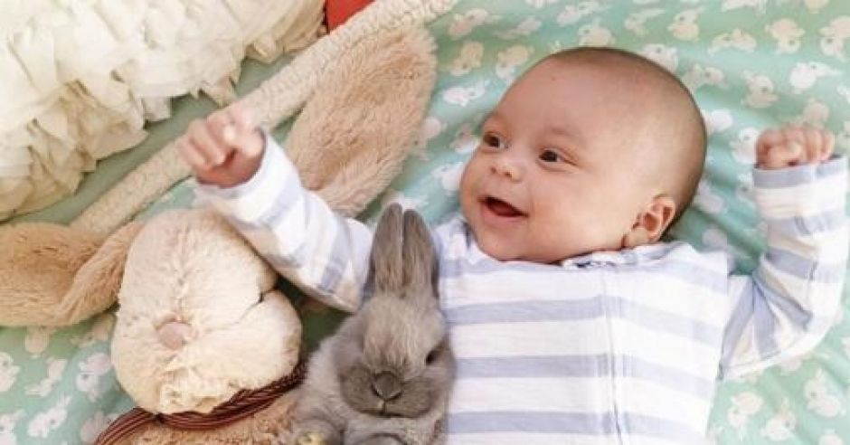 Więź chłopca z króliczkami uchwycona na zdjęciach