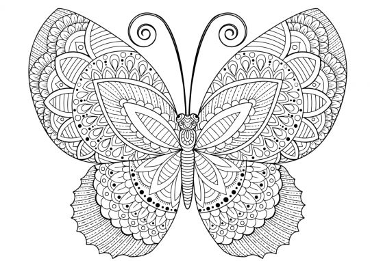 wiosenne kolorowanki motyl antystresowy