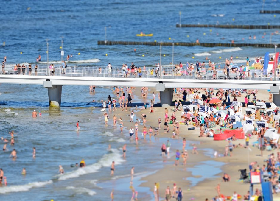 zachowanie ludzi na plaży