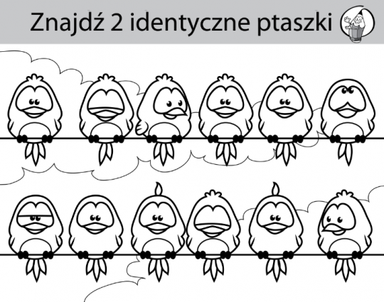 zagadki dla dzieci śmieszne zagadki ptaszki