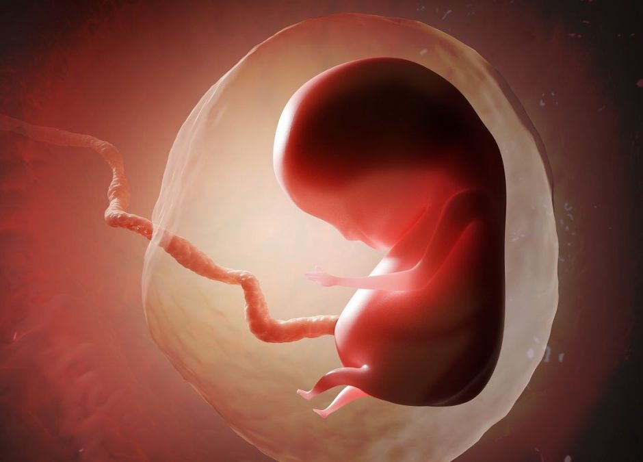 Zanieczyszczenia powietrza przedostają się do łożyska płodu