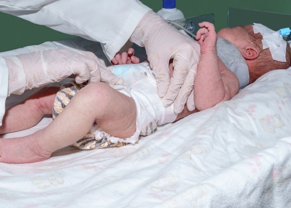 zarzuty dla ojca dziecka pogryzionego przez psa