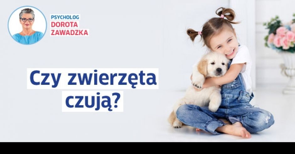 Zawadzka: czy zwierzęta czują