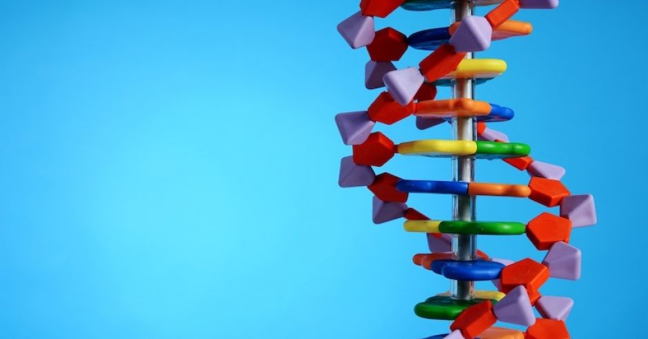 Zespół Downa jest wynikiem obecności diodatkowego materiały genetycznego zawartego w chromosomie 21