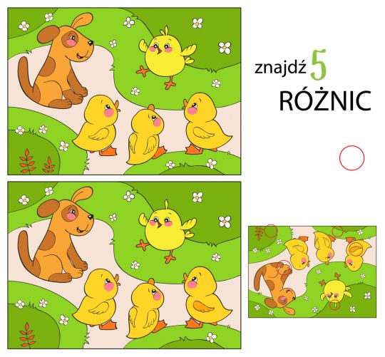 znajdź różnice dla dzieci piesek i kurczaczki